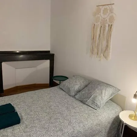 Spacieux T3 Hypercentre Proche Cathedrale Albi