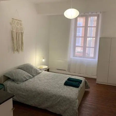 Spacieux T3 Hypercentre Proche Cathedrale Albi