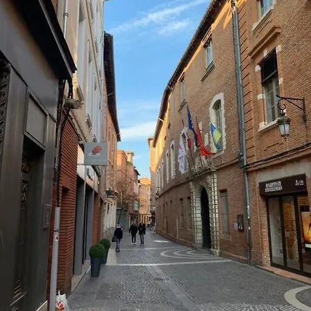 Spacieux T3 Hypercentre Proche Cathedrale * Albi