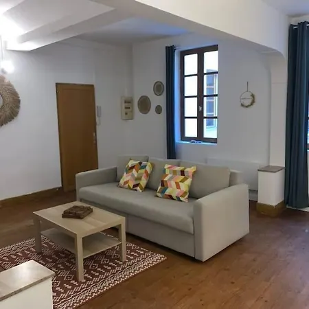 Apartment Spacieux T3 Hypercentre Proche Cathedrale Albi