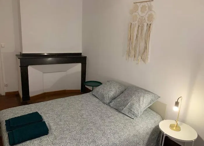 Spacieux T3 Hypercentre Proche Cathedrale Albi