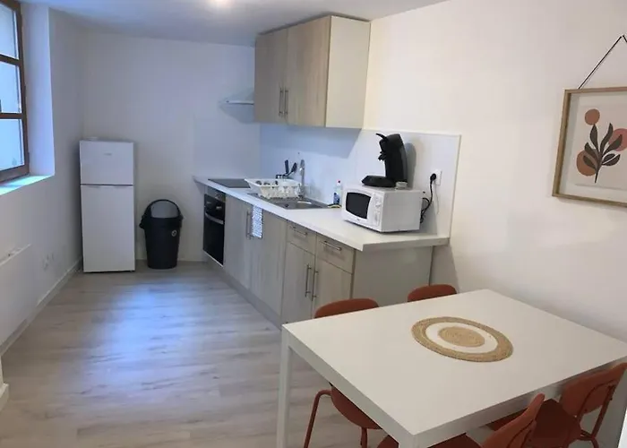 Spacieux T3 Hypercentre Proche Cathedrale Apartment *