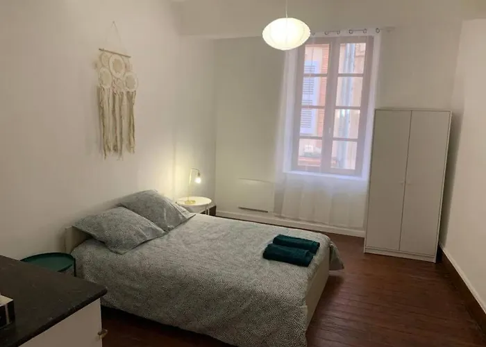 Spacieux T3 Hypercentre Proche Cathedrale Albi