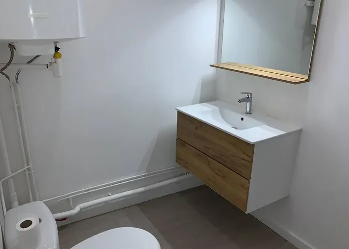 Spacieux T3 Hypercentre Proche Cathedrale Apartmán Albi