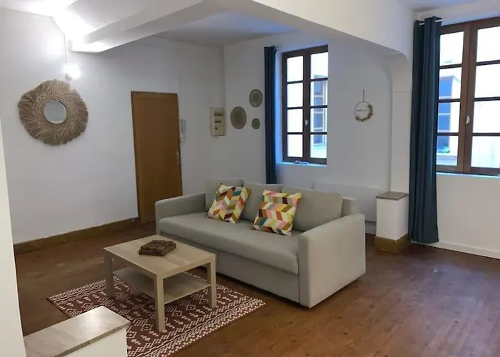 Apartmán Spacieux T3 Hypercentre Proche Cathedrale Albi